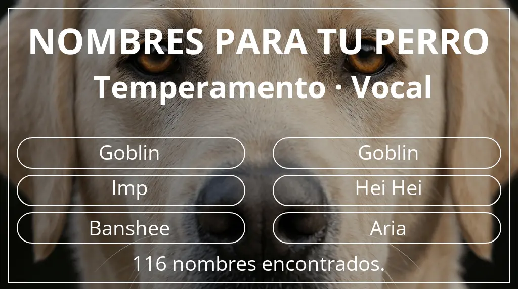 Nombres de perro inspirados en temperamento vocal