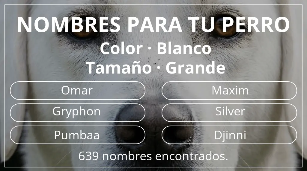 Nombres de perro inspirados en color blanco y tamaño grande