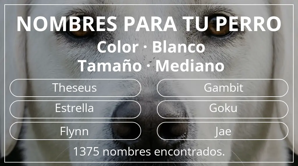 Nombres para perro basados en color blanco y tamaño mediano