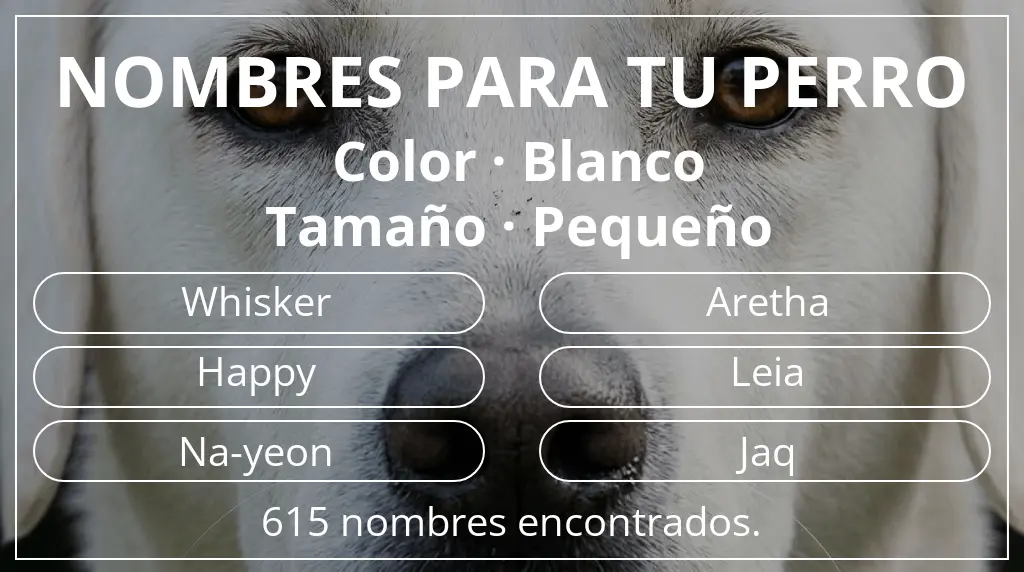 Nombres de perro basados en color blanco y tamaño pequeño