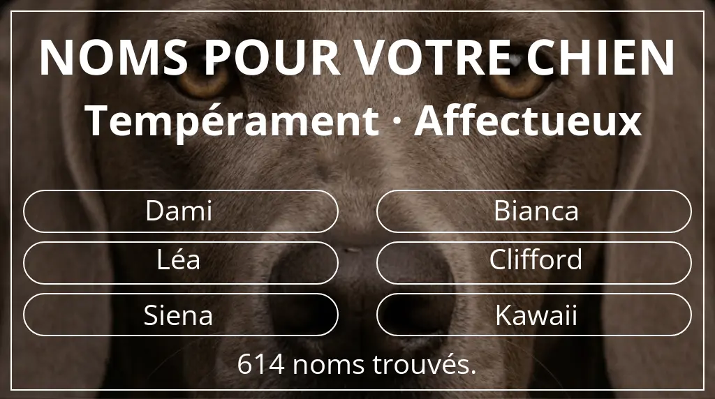 Noms pour chiens inspirés de tempérament affectueux