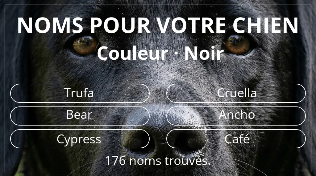Noms de chiens basés sur couleur noir