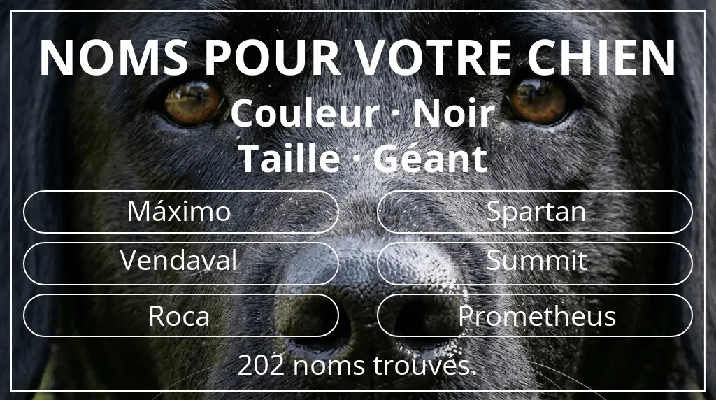 Noms de chiens basés sur couleur noir et taille géant