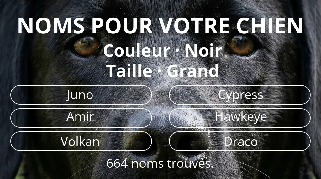 Noms de chiens basés sur couleur noir et taille grand