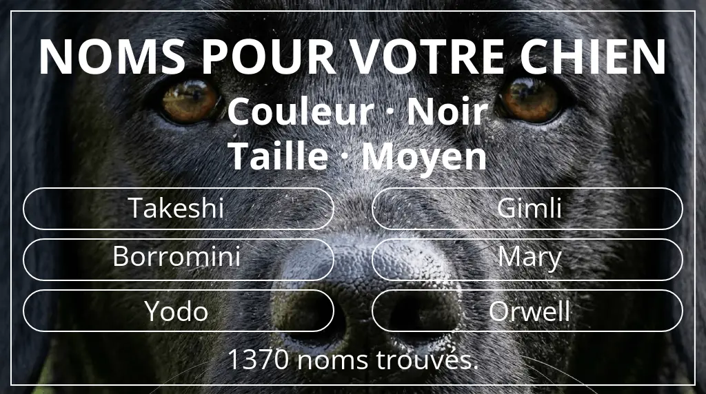 Noms de chiens basés sur couleur noir et taille moyen