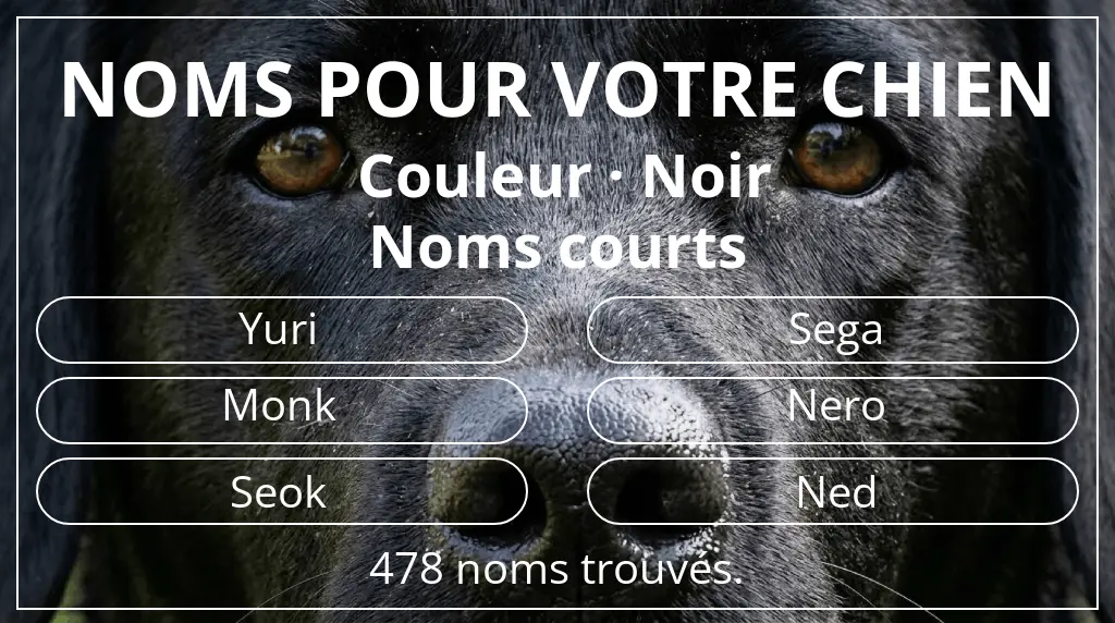 Noms pour chiens basés sur couleur noir et longueur du nom court (2 à 4)