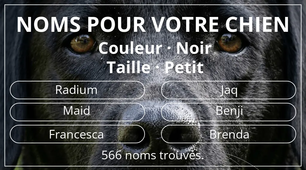 Noms pour chiens inspirés de couleur noir et taille petit