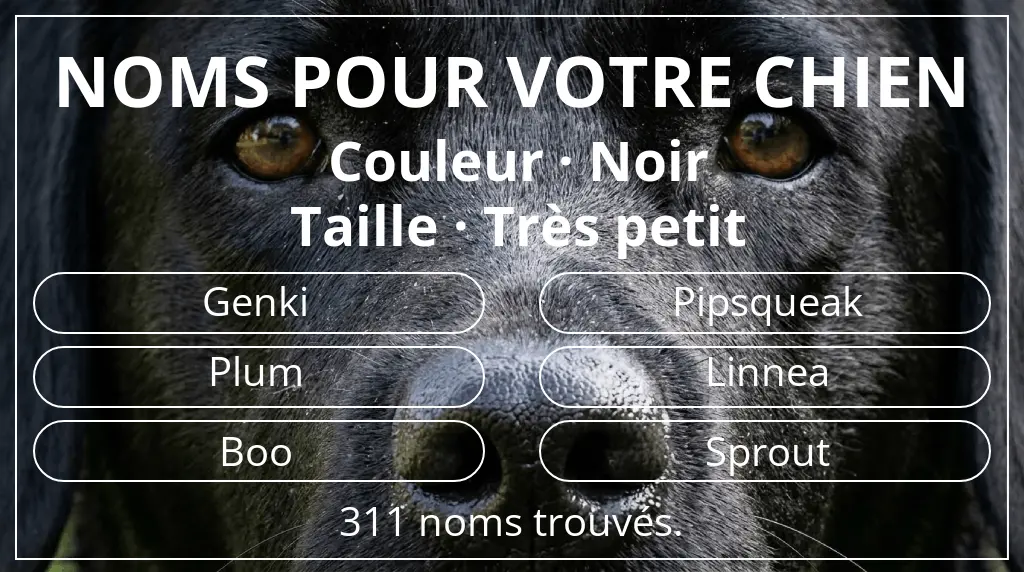 Noms pour chiens basés sur couleur noir et taille très petit