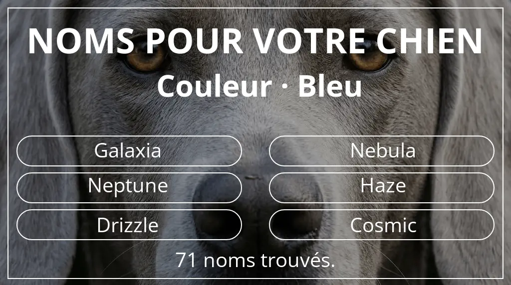 Noms de chiens basés sur couleur bleu