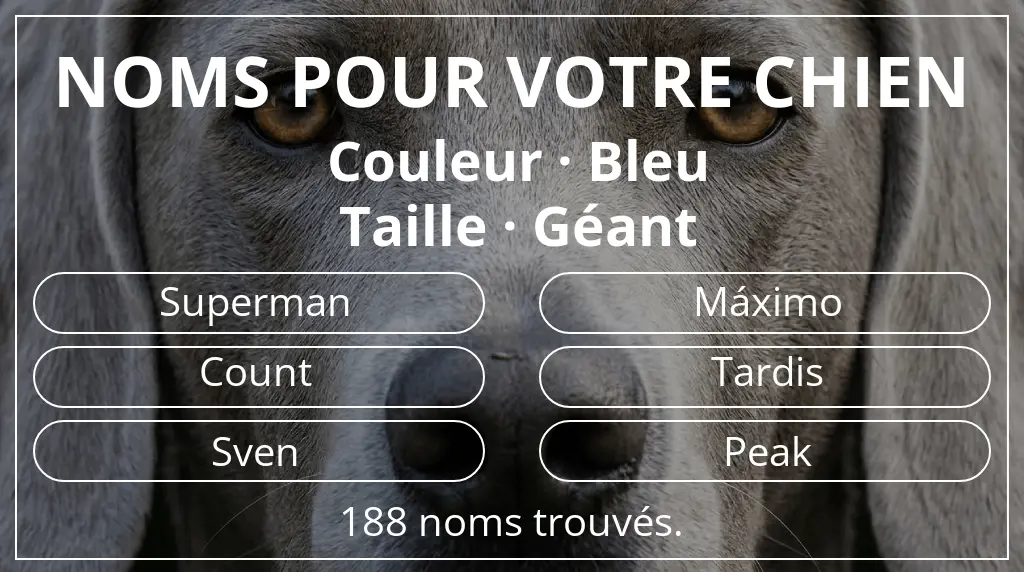 Noms de chiens inspirés de couleur bleu et taille géant