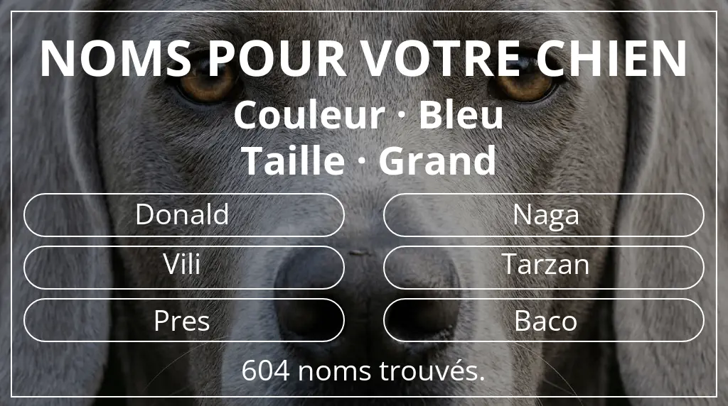 Noms de chiens inspirés de couleur bleu et taille grand