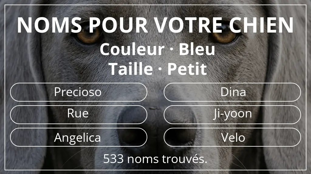 Noms de chiens inspirés de couleur bleu et taille petit