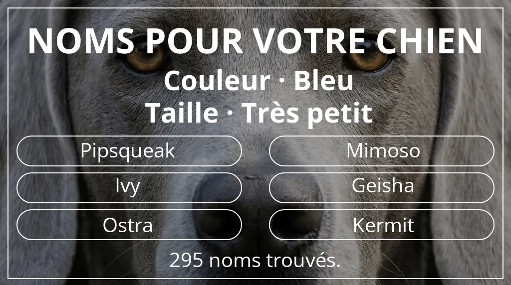 Noms de chiens basés sur couleur bleu et taille très petit