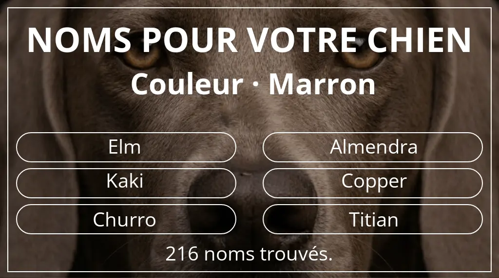 Noms de chiens inspirés de couleur marron