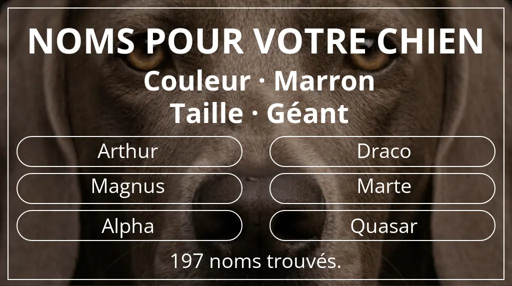 Noms de chiens basés sur couleur marron et taille géant