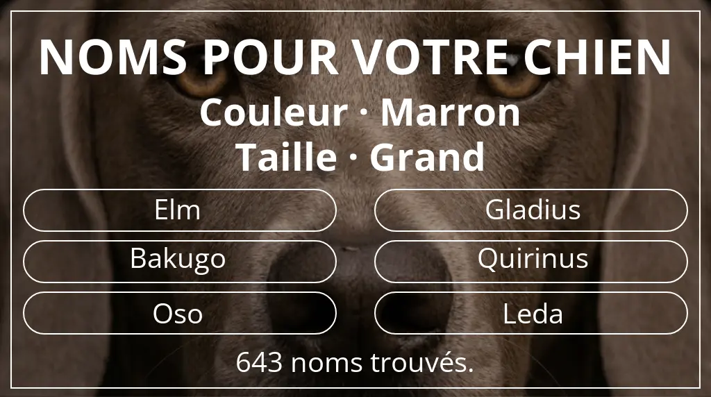 Noms pour chiens inspirés de couleur marron et taille grand