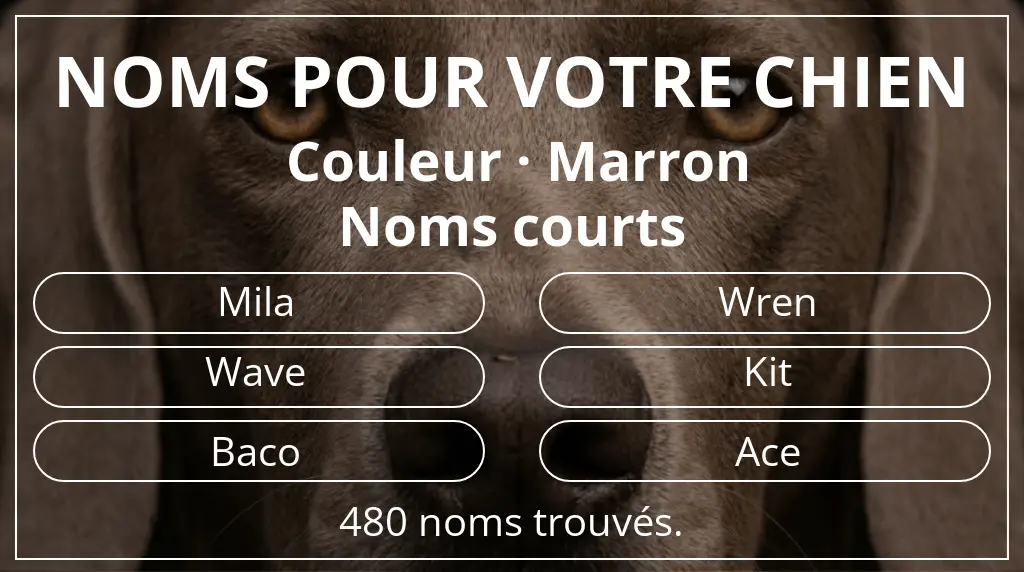 Noms pour chiens basés sur couleur marron et longueur du nom court (2 à 4)