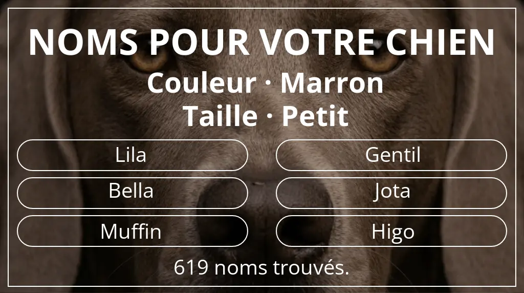 Noms de chiens basés sur couleur marron et taille petit