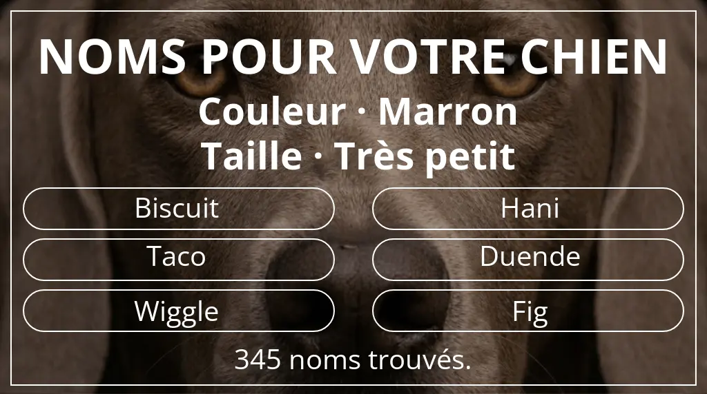 Noms de chiens inspirés de couleur marron et taille très petit