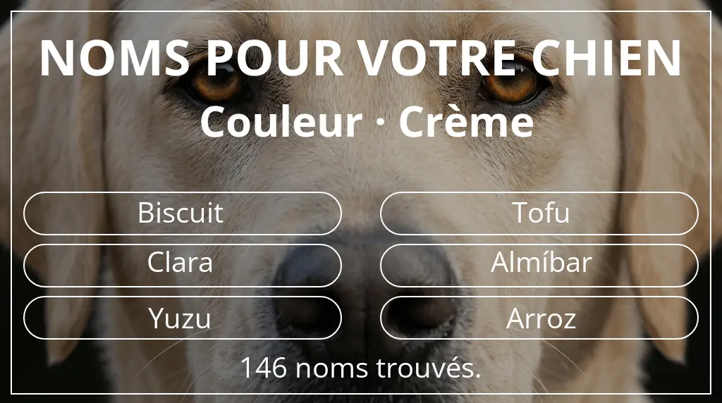 Noms pour chiens inspirés de couleur crème