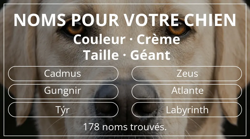 Noms pour chiens basés sur couleur crème et taille géant