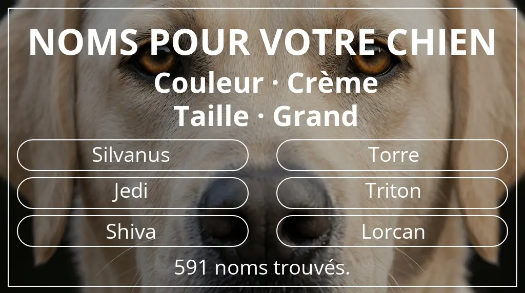 Noms pour chiens basés sur couleur crème et taille grand
