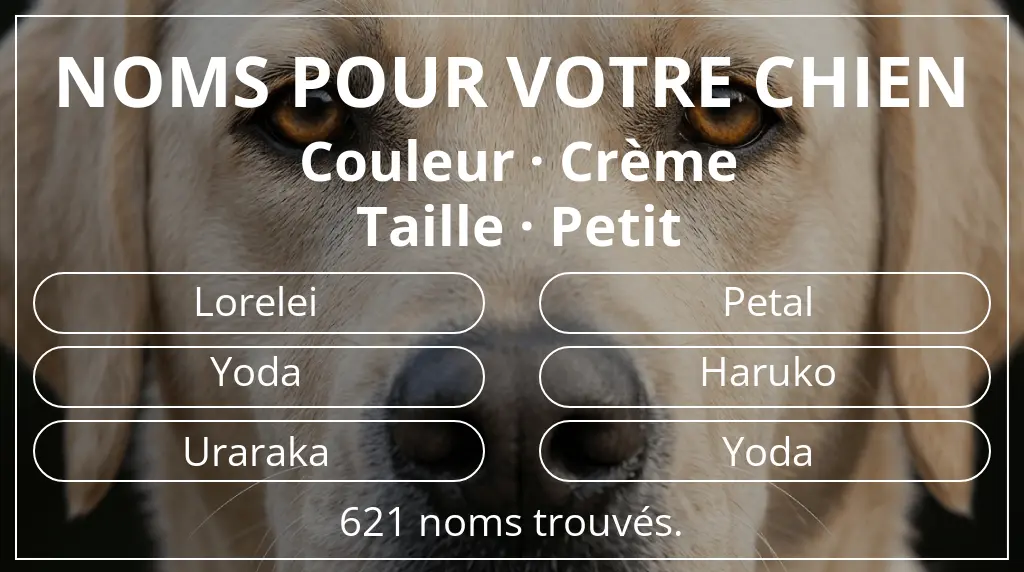 Noms de chiens basés sur couleur crème et taille petit