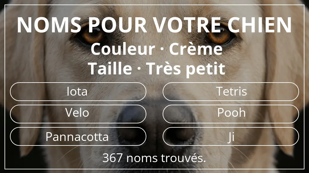 Noms pour chiens inspirés de couleur crème et taille très petit
