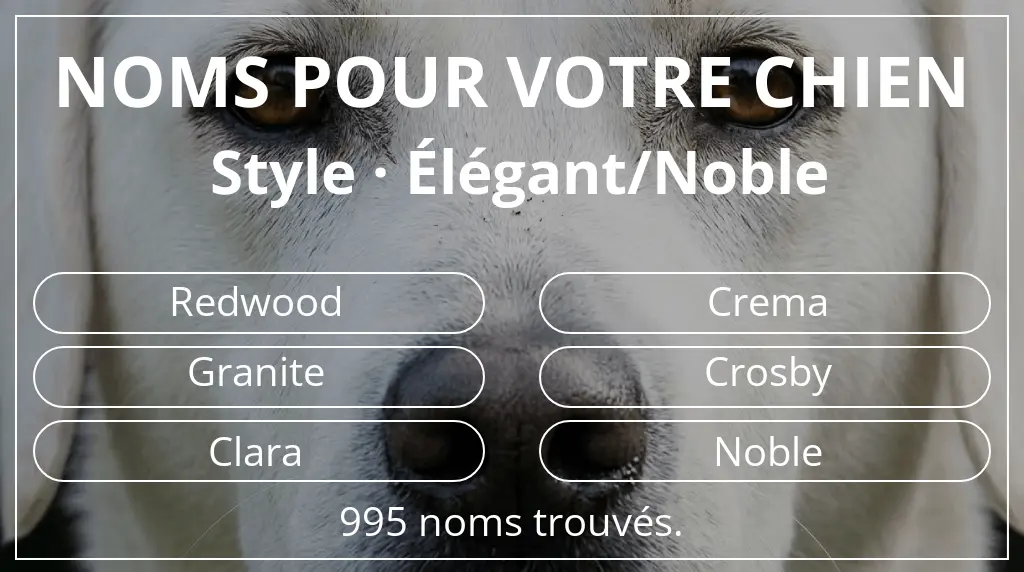 Noms pour chiens inspirés de style élégant/noble