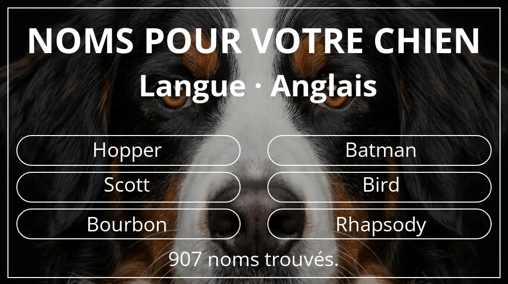 Noms de chiens basés sur langue anglais