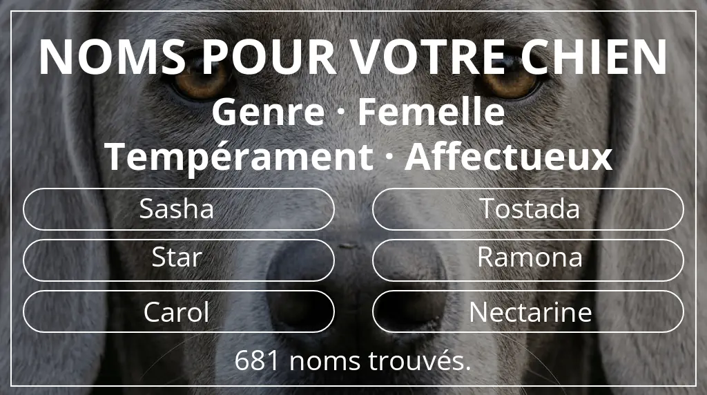 Noms pour chiens inspirés de genre femelle et tempérament affectueux