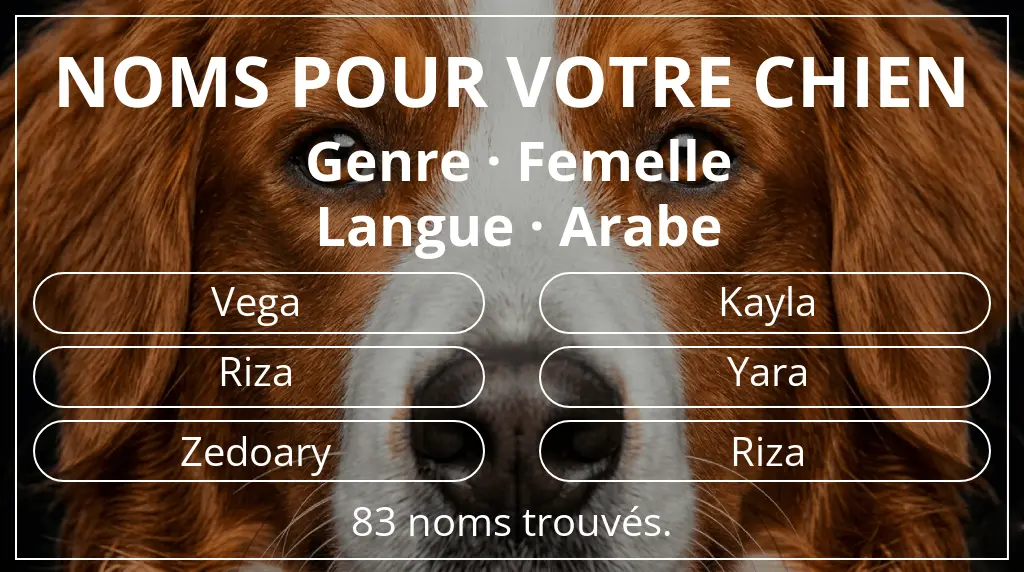 Noms pour chiens inspirés de genre femelle et langue arabe