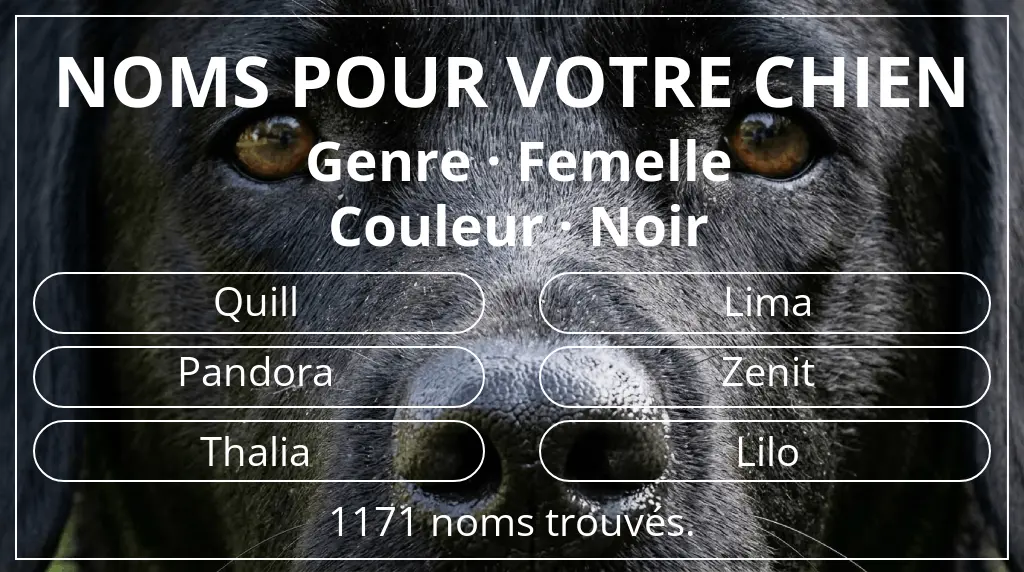 Noms de chiens basés sur genre femelle et couleur noir