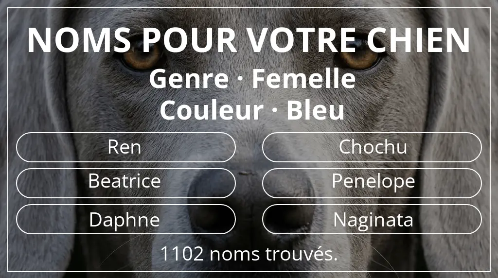 Noms pour chiens inspirés de genre femelle et couleur bleu