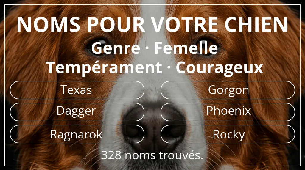 Noms de chiens inspirés de genre femelle et tempérament courageux