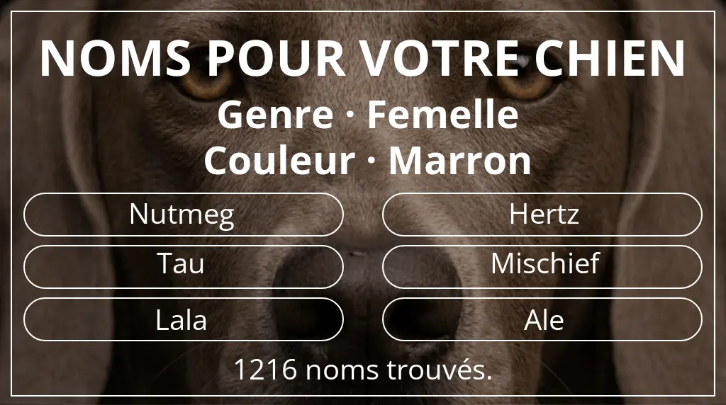 Noms de chiens inspirés de genre femelle et couleur marron
