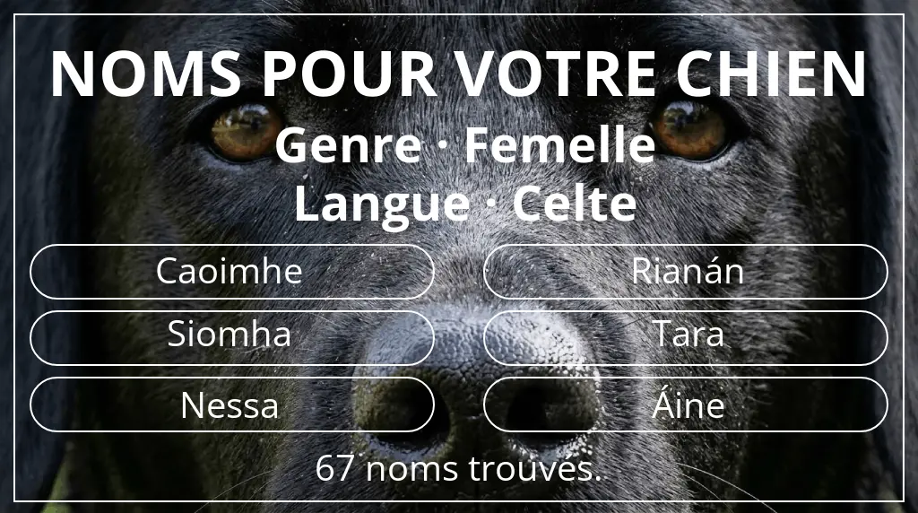 Noms de chiens basés sur genre femelle et langue celte