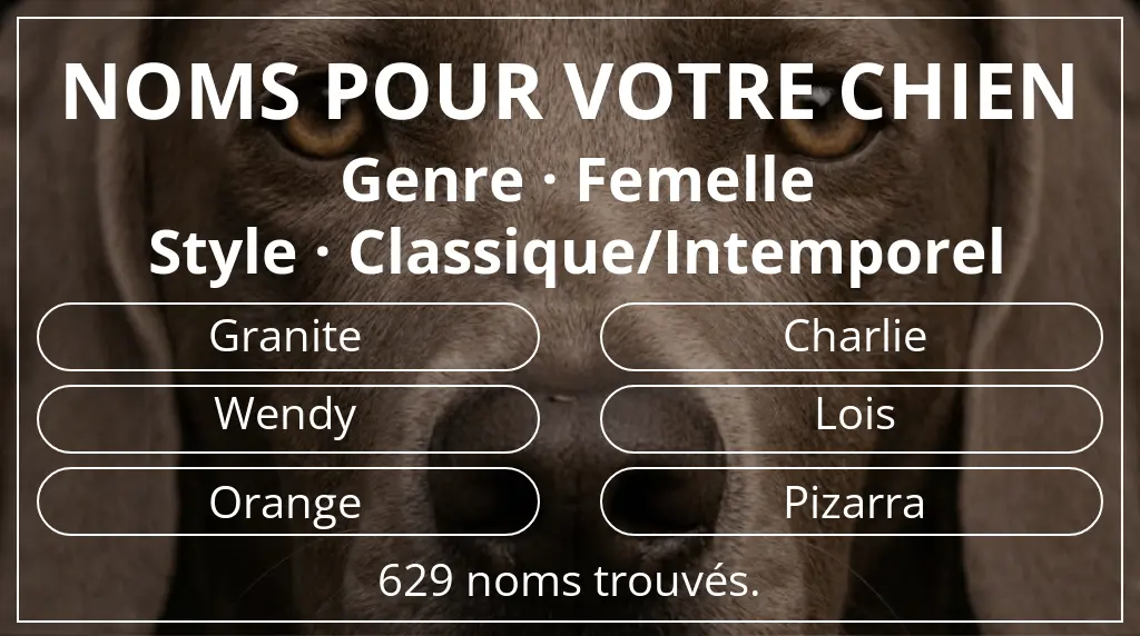 Noms de chiens inspirés de genre femelle et style classique/intemporel