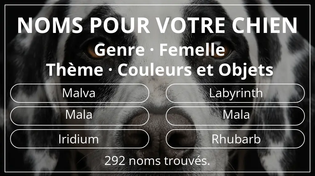 Noms pour chiens basés sur genre femelle et thème couleurs et objets