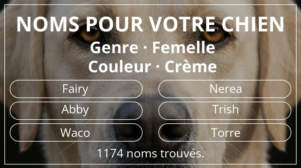 Noms de chiens basés sur genre femelle et couleur crème