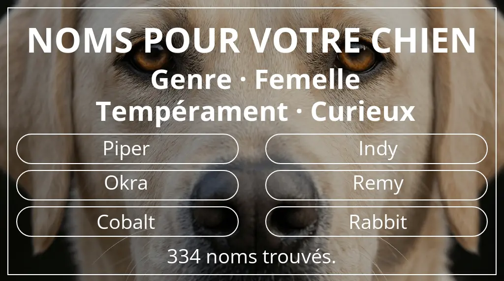 Noms de chiens inspirés de genre femelle et tempérament curieux