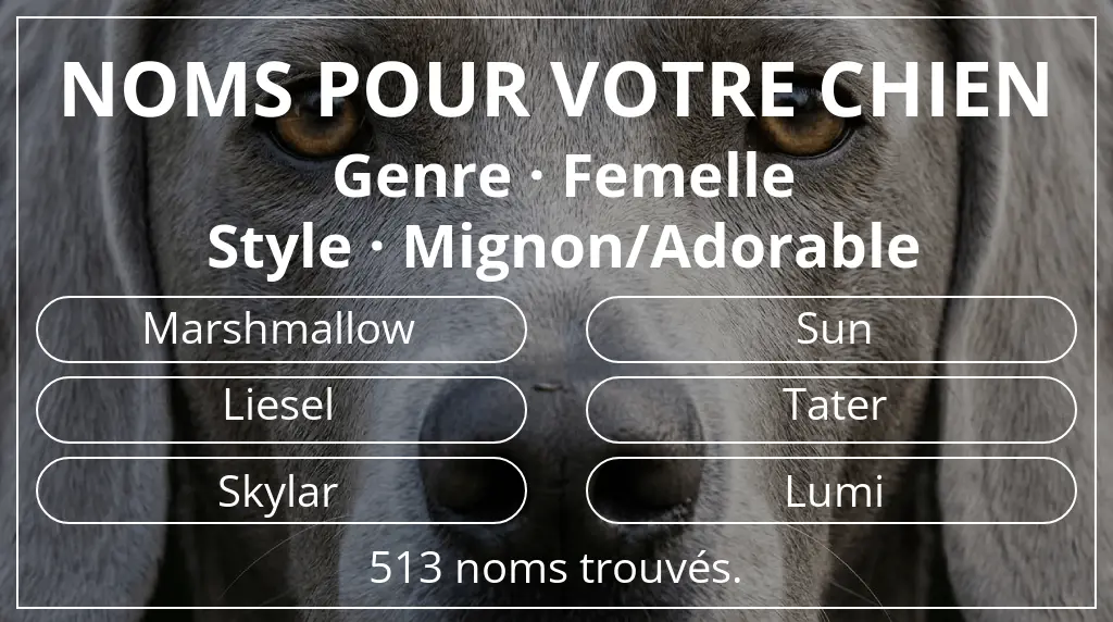 Noms pour chiens inspirés de genre femelle et style mignon/adorable