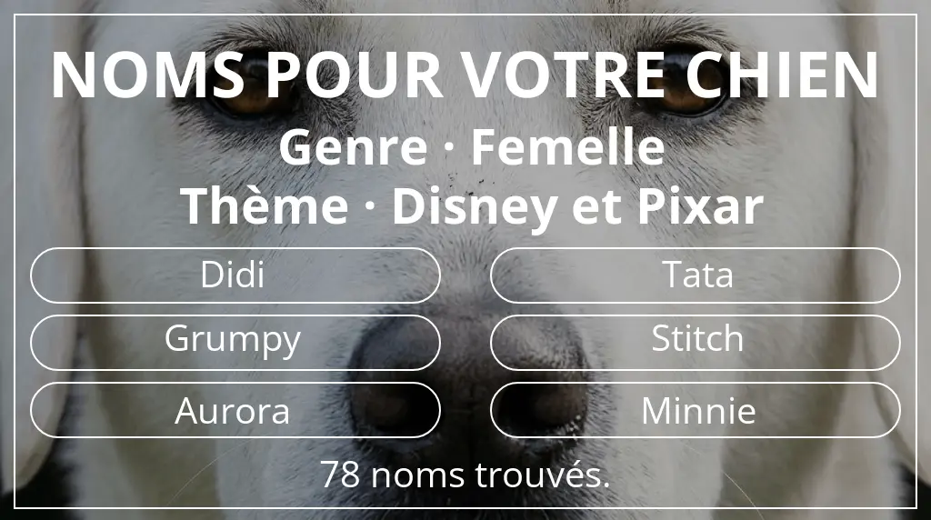 Noms de chiens basés sur genre femelle et thème disney et pixar