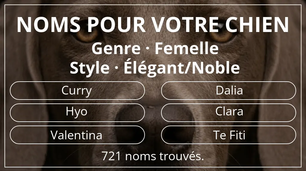 Noms pour chiens inspirés de genre femelle et style élégant/noble