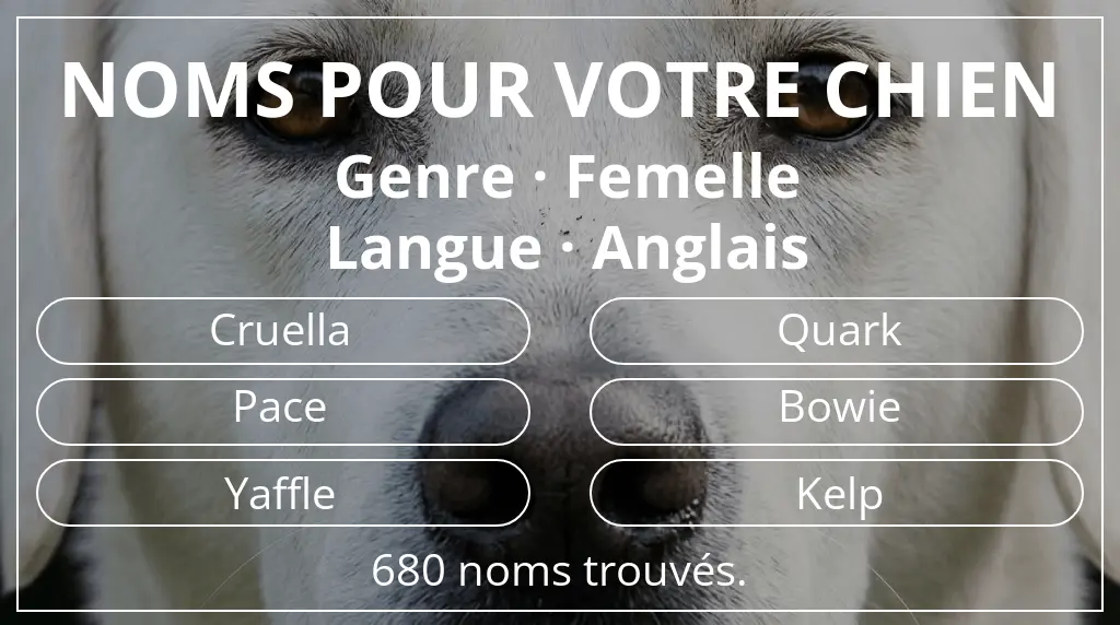 Noms pour chiens inspirés de genre femelle et langue anglais