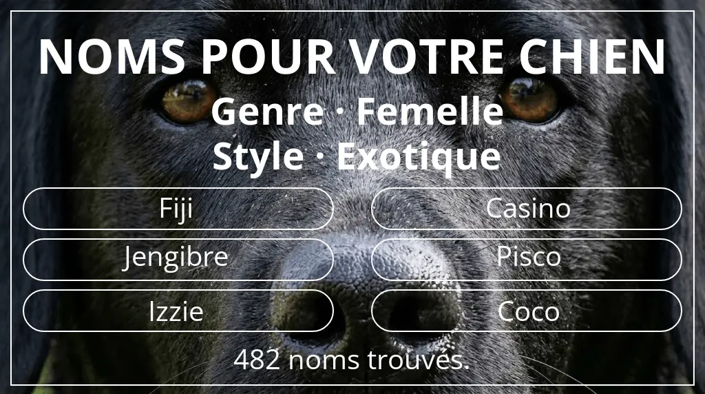 Noms de chiens basés sur genre femelle et style exotique