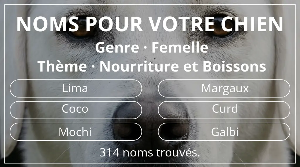 Noms pour chiens inspirés de genre femelle et thème nourriture et boissons