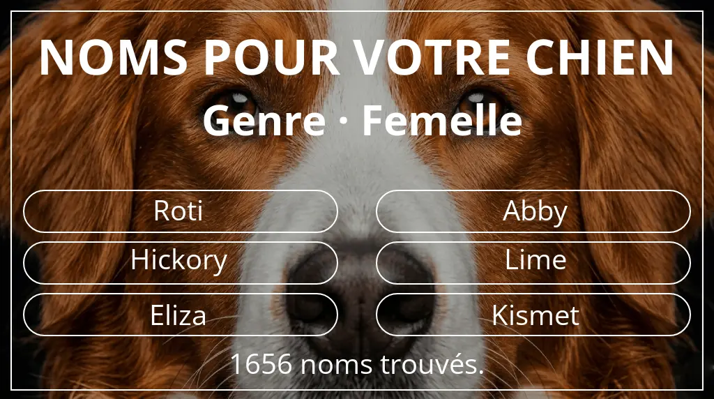Noms pour chiens basés sur genre femelle