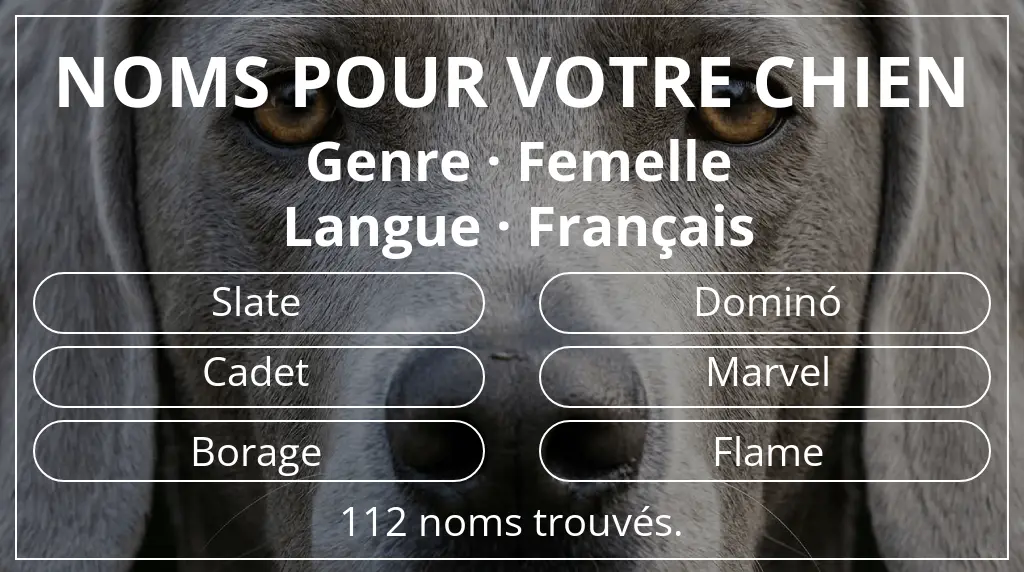 Noms pour chiens basés sur genre femelle et langue français