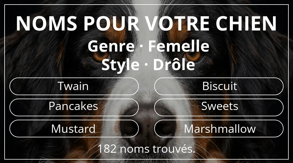 Noms de chiens inspirés de genre femelle et style drôle